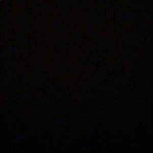 Meet your Posher, Bryce